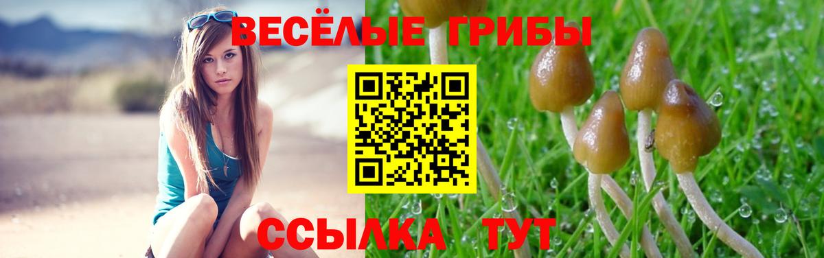 наркота  Галлюциногенные грибы GOLDEN TEACHER  Вход с VPN  Добрянка 